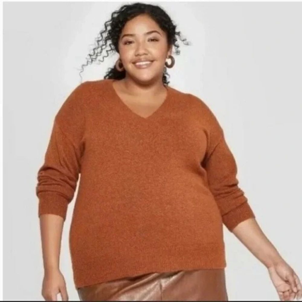 Ava & Vic Burnt Orange Cozy Knit Women's Pullover V-Neck Sweater (Size: 14)